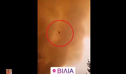 Φωτιά Βίλια: Στρόβιλος από φωτιά «πετά» στους πυροσβέστες κορμό δέντρου