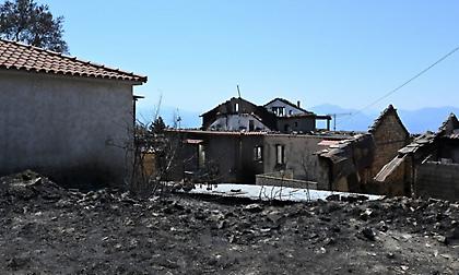 Φωτιά - Βίλια: Καλύτερη η κατάσταση, επιχειρούν δυνάμεις της πυροσβεστικής σε όλη την περίμετρο