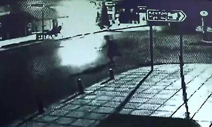 Σοκαριστικό βίντεο: Ο 25χρονος κυνηγά να σκοτώσει τον σκύλο στα Κουφάλια!
