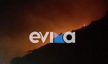 Εύβοια: Μεγάλη φωτιά στην περιοχή Φυγιάς - Εκκενώθηκαν προληπτικά δύο οικισμοί