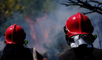 Φωτιά στα Βίλια: 299 πυροσβέστες με 61 Ρουμάνους και δεκάδες οχήματα επιχειρούν για την κατάσβεση