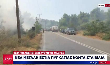 Βίλια- Πύρινος εφιάλτης δίχως τέλος: Κάηκαν σπίτια-Εκκενώθηκαν 2 οικισμοί-Καταγγελίες εμπρησμού