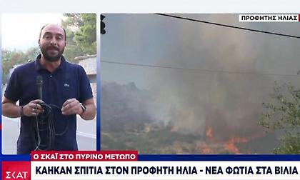 Βίλια: Σε ύφεση η φωτιά - Υπόνοιες για σχέδιο εμπρησμού