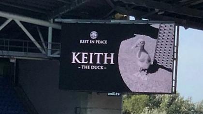 Έπος από Γουίγκαν: Κράτησαν ενός λεπτού σιγή για μια πάπια!