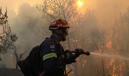 Φθιώτιδα: Οριοθετήθηκε η φωτιά στο Λογγίτσι