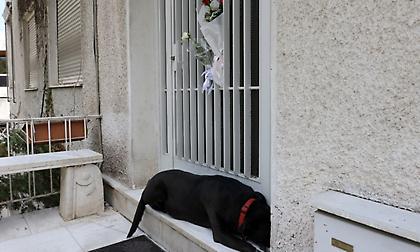 Συγκίνηση: Ο σκύλος του Μίκη Θεοδωράκη δεν έφυγε από την πόρτα του σπιτιού του