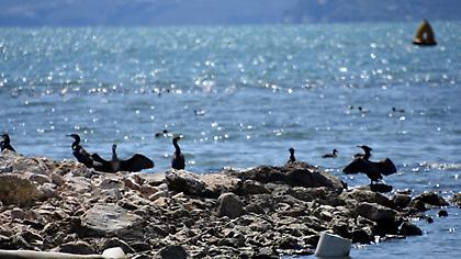 Καιρός σήμερα: Καλοκαιρινός με ήλιο και 30άρια – Πού μπορεί να βρέξει