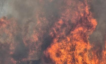 Οριοθετήθηκε η πυρκαγιά που ξέσπασε σε δασική έκταση στην περιφερειακή Αιγάλεω
