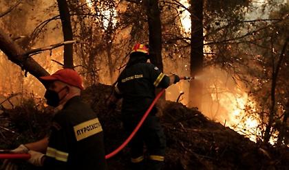 Πυρόπληκτοι: Επέκταση της πλατφόρμας arogi.gov.gr - Aπαλλαγές από τον ΕΝΦΙΑ