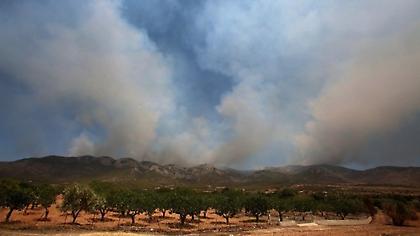 Πυρκαγιά σε δασική έκταση στον Μαραθώνα-Έχει οριοθετηθεί