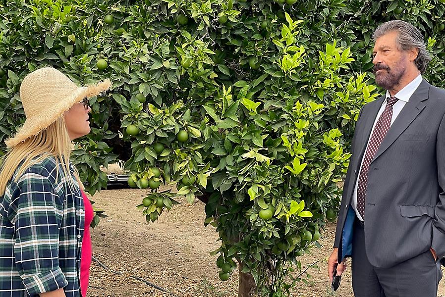 Μόλις Χθες: Sneak preview