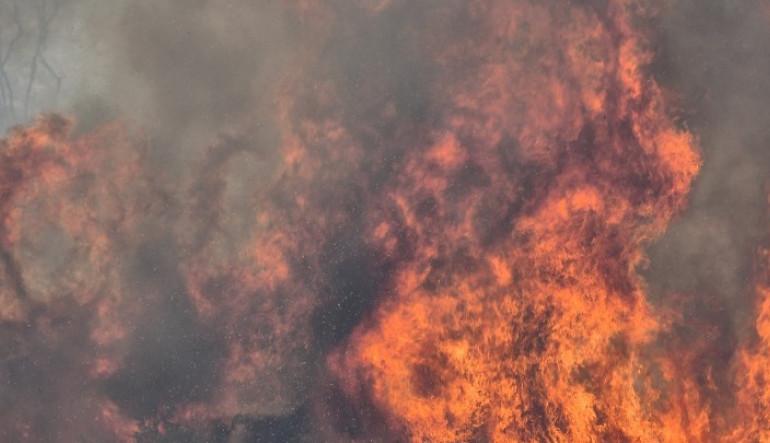 Καλάβρυτα: Πυρκαγιά σε δασική έκταση