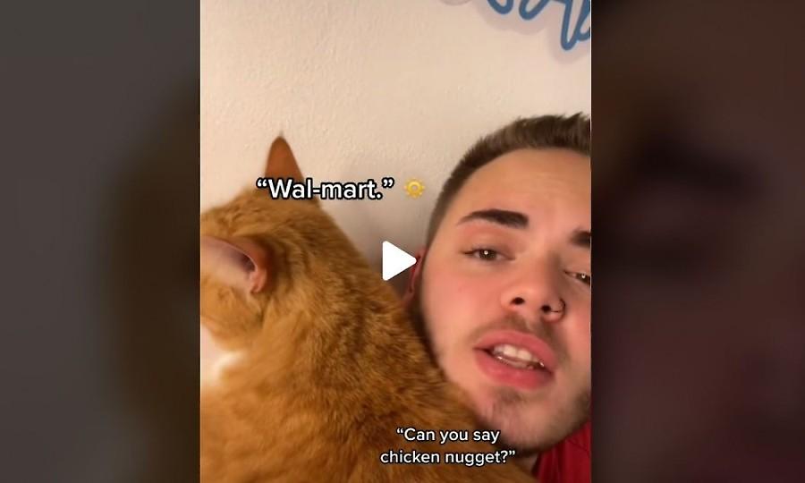 Έμαθε τον γάτο του να «γελάει» και έγινε viral!