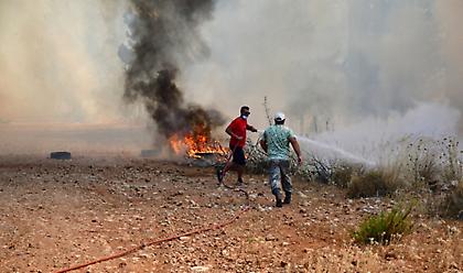 Hλεία: Φωτιά σε δασική έκταση στην περιοχή Αστεραίικα