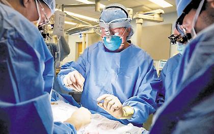 Πρώτη μεταμόσχευση νεφρού χοίρου σε άνθρωπο
