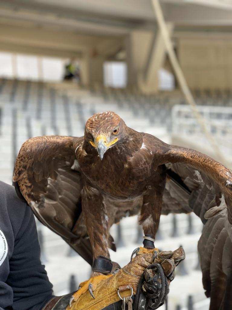 ΑΕΚ: «Αυτός είναι ο αετός για τη Νέα Φιλαδέλφεια»