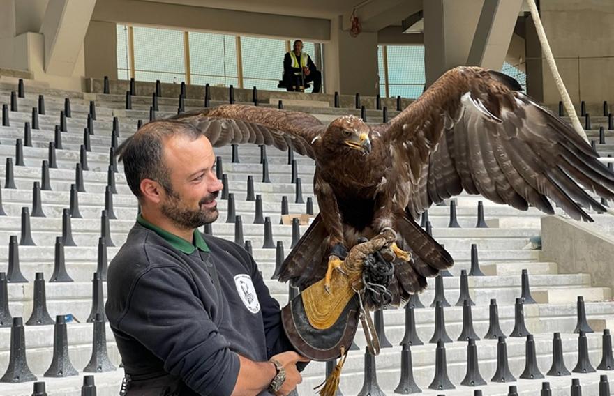 ΑΕΚ: Η εκπαίδευση του αετού της «Αγια-Σοφιάς»