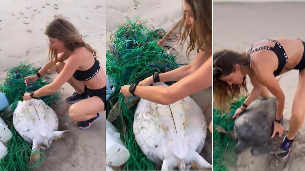 Ζιζέλ: Έσωσε θαλάσσια χελώνα on camera-Το μήνυμά της