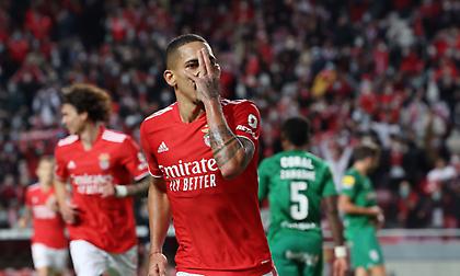 «Επτάρα» η Μπενφίκα, τέσσερα η Πόρτο πριν το μεταξύ τους ντέρμπι!