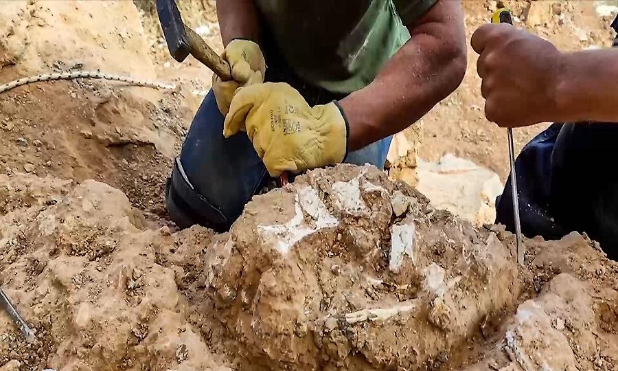 Τζουράσικ… Λέσβος: Βρέθηκαν απολιθωμένα οστά ζώων 20 χιλιάδων αιώνων!