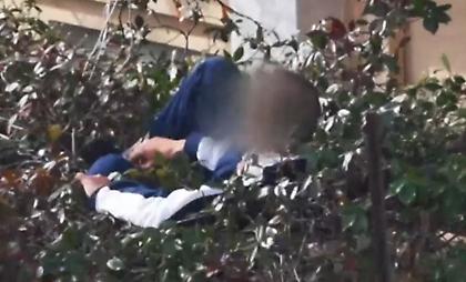Έπεσε από την ταράτσα και σώθηκε από την κληματαριά!