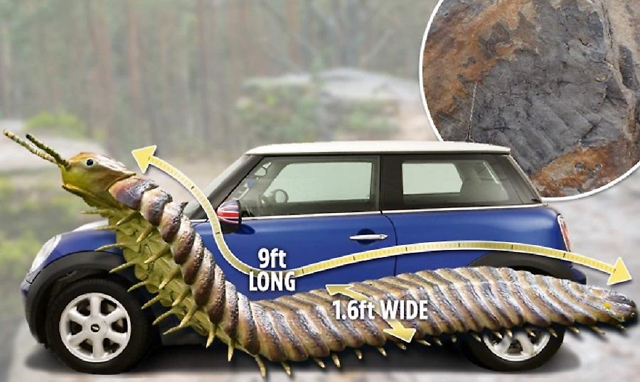 Απολίθωμα σαρανταποδαρούσας σε μέγεθος αυτοκινήτου εντοπίστηκε στη Βρετανία