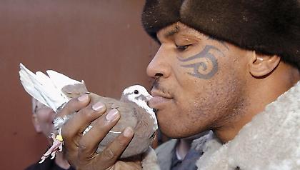 Τάισον: Είχε χωρίσει επειδή η σύντροφός του έφαγε ένα από τα περιστέρια του