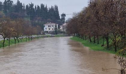 Τρίκαλα: Υπερχείλισε ο Ληθαίος ποταμός (video)