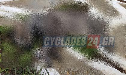 Φρίκη στη Σίκινο: Δηλητηρίασαν 35 γάτες- Θα σταλούν για νεκροψία