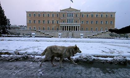 «Σίγουρη χιονόστρωση στο Σύνταγμα, πιθανές χιονοκαταιγίδες»: Πού αναμένεται να το… στρώσει!
