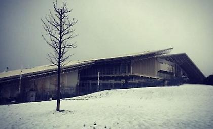 Χωρίς προπόνηση ο Παναθηναϊκός με Ζαλγκίρις: Ματαιώθηκε και η σημερινή!