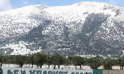 Ματαιώθηκε η προπόνηση του Παναθηναϊκού, ζημιές στην Λεωφόρο!