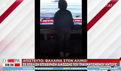 Υπέροχη εικόνα: Πιτσιρικάς φιλάει τηλεόραση που δείχνει τη φάλαινα στον Άλιμο - Δείτε τη φωτογραφία
