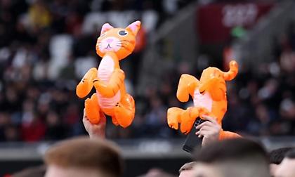 Οπαδοί της Νιούκαστλ πίκαραν τον Ζούμα με φουσκωτές γάτες!