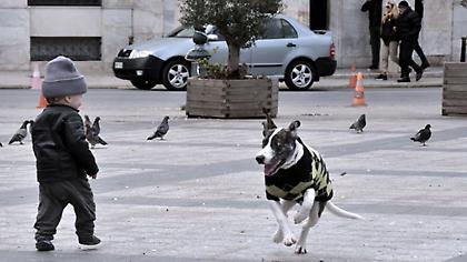 Κακοκαιρία «Φίλιππος»: Πολικές θερμοκρασίες και παγετός από Τετάρτη - Οδηγίες από Πολιτική Προστασία