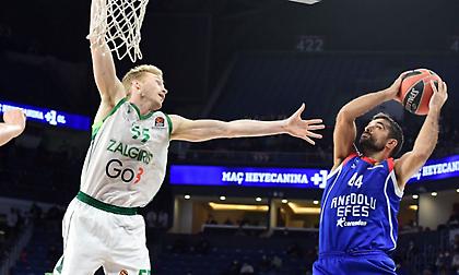 Ζάλγκιρις-Αναντολού Εφές