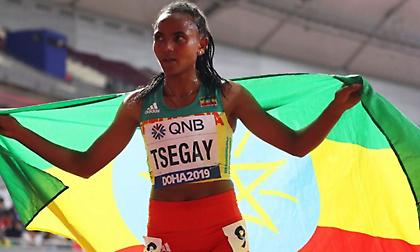 «Χρυσοί» Γκαρσία, Τσεγκάι στο Βελιγράδι