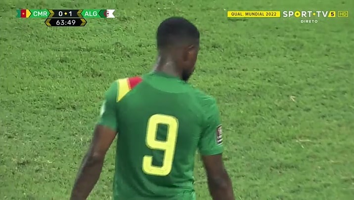 Καμερούν-Αλγερία 0-1