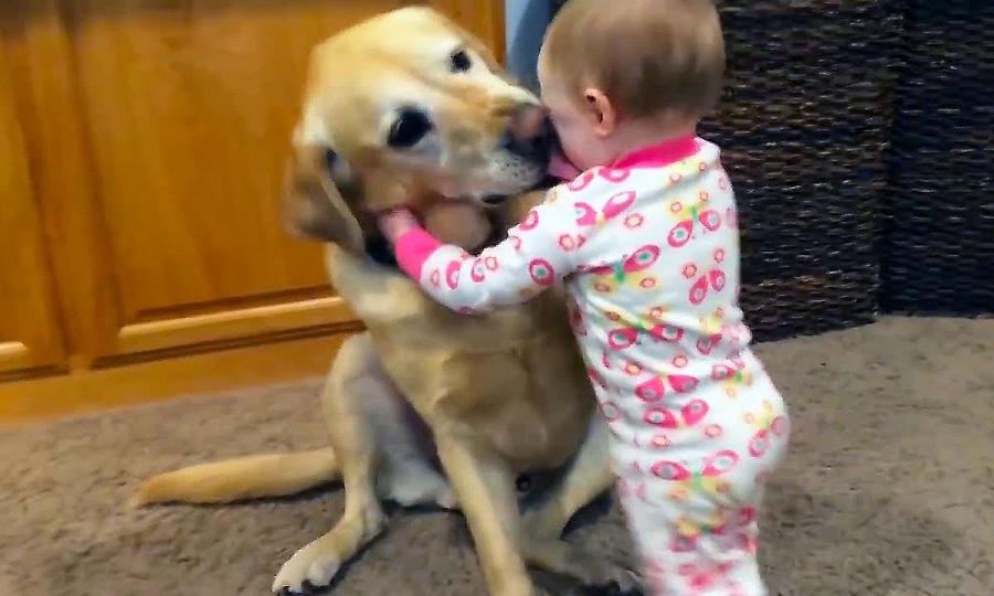 Super μπαμπάς ταΐζει ταυτόχρονα, ένα μωρό, δύο σκυλιά και τον εαυτό του