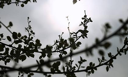 Καιρός: Πτώση της θερμοκρασίας την Κυριακή - Πού θα βρέξει