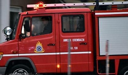 Πυρκαγιά σε ελαιώνα στη Βοιωτία-Δεν απειλούνται κατοικίες