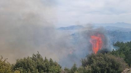Συναγερμός για δύο πύρινα μέτωπα στην Ηλεία - Κοντά στα σπίτια στο χωριό Πτελέα έφτασαν οι φλόγες