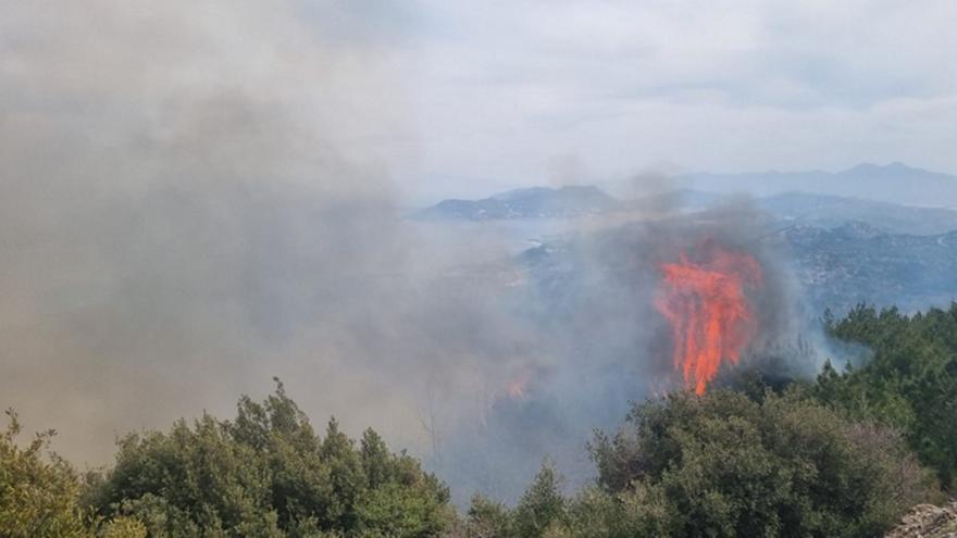 Ηλεία: Συναγερμός για δύο πύρινα μέτωπα