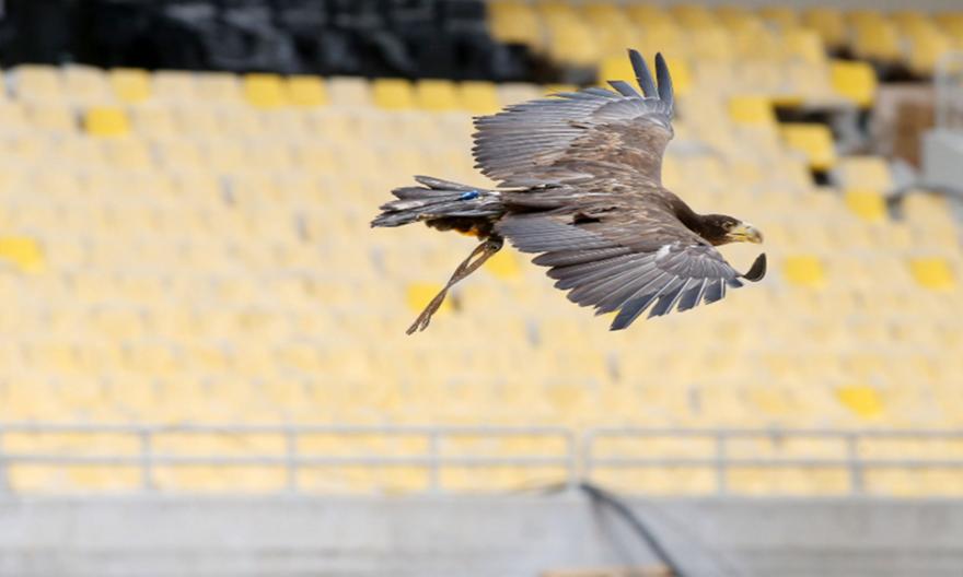 ΑΕΚ: Οι πτήσεις του Οδυσσέα στην  Νέα Φιλαδέλφεια