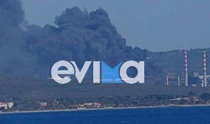 Συναγερμός στο Αλιβέρι: Mεγάλη φωτιά κοντά στο εργοστάσιο της ΔΕΗ