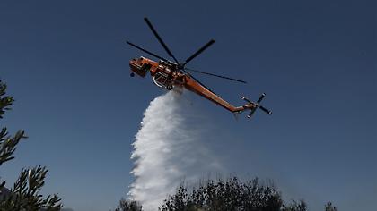 Πυρκαγιά σε δασική έκταση στη Χαλκιδική