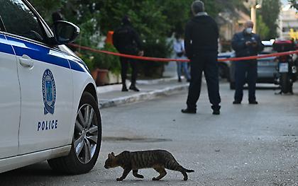 Ανήλικοι επιτέθηκαν απρόκλητα σε 28χρονο με κινητικά προβλήματα στα Φάρσαλα!