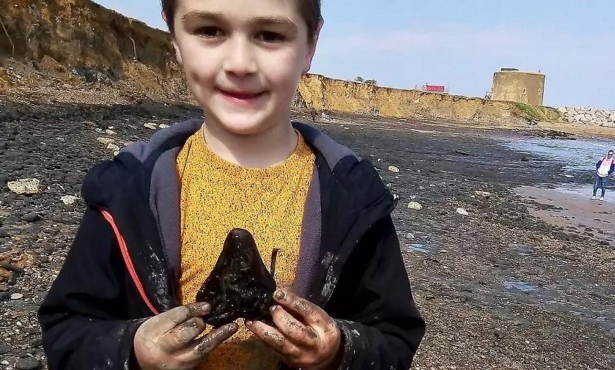 Αγόρι έψαχνε για κοχύλια σε παραλία και βρήκε προϊστορικό δόντι εκατομμυρίων ετών