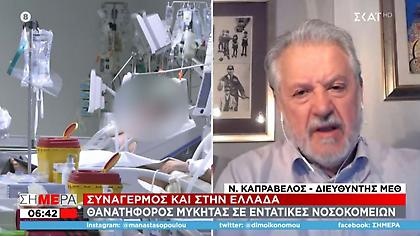 Candida Auris: 2+1 στοιχεία για τον φονικό μύκητα – Εξηγεί ο Νίκος Καπραβέλος