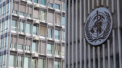 Έκτακτη συνεδρίαση ΠΟΥ για την ευλογιά των πιθήκων - Κρούσματα και στην Ολλανδία